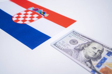 ABD Doları Mali Konseptiyle Hırvatistan Bayrağı