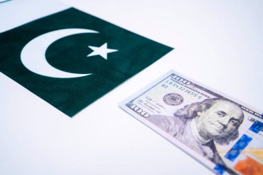 ABD Doları Mali Konseptli Pakistan Bayrağı