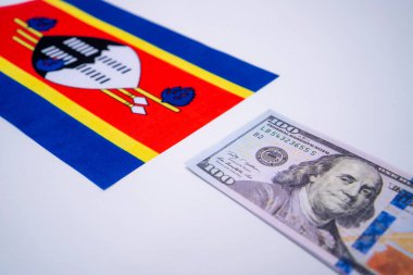 ABD Doları Banknotlu Eswatini Bayrağı
