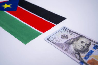 ABD Doları Banknotlu Güney Sudan Bayrağı