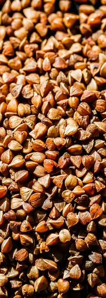 Buckwheat grain closeup, food texture and cook book background — Stock Photo, Image