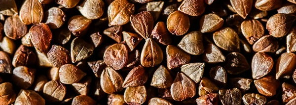 Buckwheat grain closeup, food texture and cook book background — Stock Photo, Image