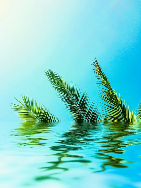 Palmbladeren en zeewater, zomervakantie en strand — Stockfoto