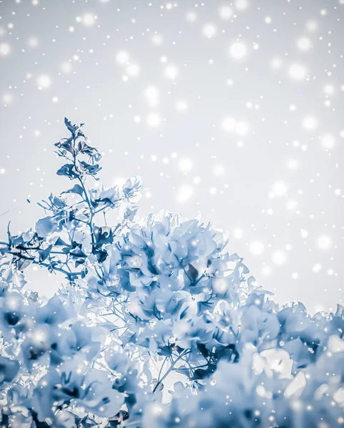 Crăciun, Anul Nou albastru floral natura fundal, design carte de vacanță, copac de flori și sclipici de zăpadă ca iarnă sezon de vânzare fundal pentru brand de frumusețe de lux — Fotografie, imagine de stoc