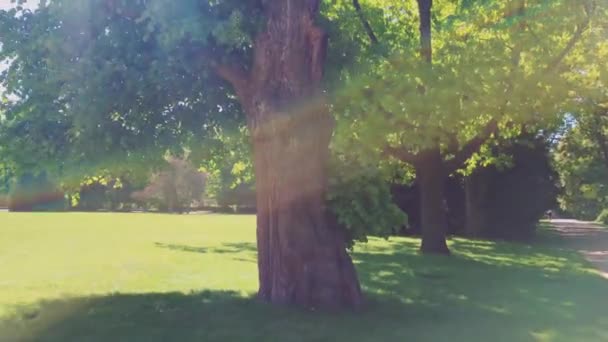 Belvedere Restaurace a palác v Lazienki nebo Royal Baths Park, krásná příroda za slunečného dne — Stock video
