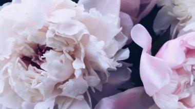 Pastel şakayık çiçekleri bayram, düğün ve çiçeklerle süslenir.