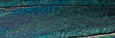 Turkuaz soyut arkaplan, resim ve sanat