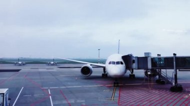 LOT Polonya Havayolları Coronavirus salgını sırasında havaalanı penceresinden uçak görüntüsü, ulaşım ve seyahat