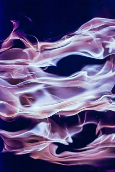 Asgari arkaplan olarak soyut mor duman, sihirli zemin ve akış tasarımı — Stok fotoğraf