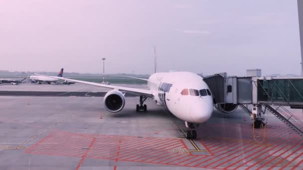 LOT Polonya Havayolları Coronavirus salgını sırasında havaalanı penceresinden uçak görüntüsü, ulaşım ve seyahat — Stok video