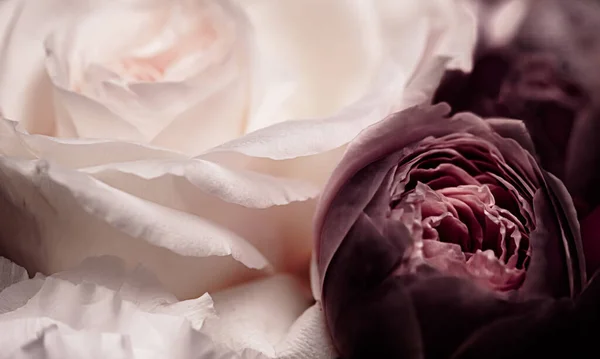 Bukiet kwiatowy w prezencie, ukÅ ad kwiaty róÅ ¼ y w kwiaciarni lub dostawy online, romantyczny prezent i luksusowy wystrój domu — Zdjęcie stockowe
