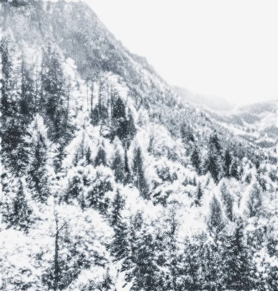 Kışın karlı dağ manzaralı Noel kartı, sanat baskıları ve basılabilir tasarım için monokrom fotoğraf