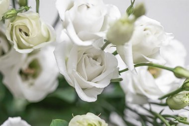 Hediye olarak çiçek buketi, çiçekçide ya da internet dağıtımında gül çiçeği aranjmanı, romantik hediye ve lüks ev dekorasyonu