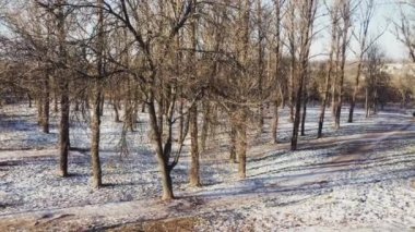 Kışın karla kaplı ağaçlar, parkta ara sokaklar ve doğa mevsimi