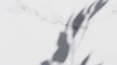 Güneşin altındaki beyaz mermer üzerindeki gölgeler, arka plan olarak ağaç yapraklarının silueti, lüks yüzey ve dekor malzemesi