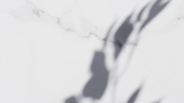 Skuggor på vit marmor under solen, silhuett av trädblad som bakgrund, lyx yta och inredning material — Stockvideo
