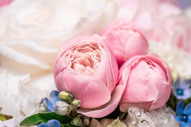 Hediye olarak çiçek buketi, çiçekçide ya da internet dağıtımında gül çiçeği aranjmanı, romantik hediye ve lüks ev dekorasyonu