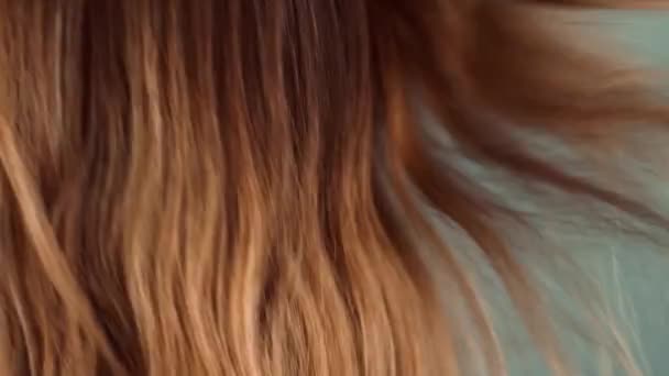 Сушка Волос Естественный Уход Волосами Женщина Длинной Прической Косметический Стильный — стоковое видео