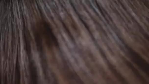 Femme Brune Coiffure Longue Peignant Ses Cheveux Brillants Soins Capillaires — Video