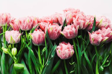 Bayram hediyesi olarak mermer arka planda bahar çiçekleri ve çiçek düzlüğü konsepti