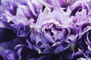 Bahar tatili arka planı olarak güzel çiçekler ve çiçekli flatlay konsepti