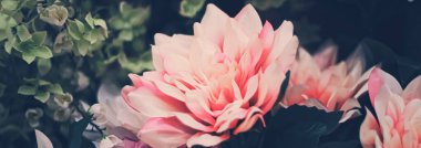 Çiçek aranjmanı düğün ve çiçekçi dekoru olarak kullanılıyor.