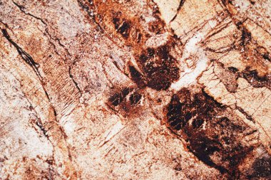 Yüzey arka planı olarak taş dokusu, iç tasarım ve lüks düz döşeme