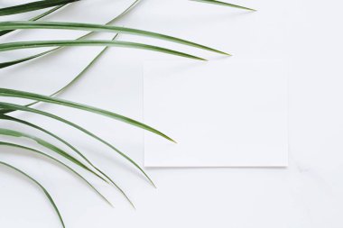 Beyaz kart düz yatak ve yeşil egzotik yaprak, lüks marka düz döşeme ve model kimlik tasarımı