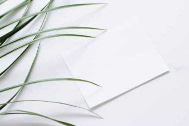 Beyaz kart düz yatak ve yeşil egzotik yaprak, lüks marka düz döşeme ve model kimlik tasarımı