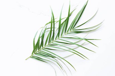 Beyaz mermer arka planda yeşil egzotik yaprak, lüks marka düz döşeme ve model kimlik tasarımı