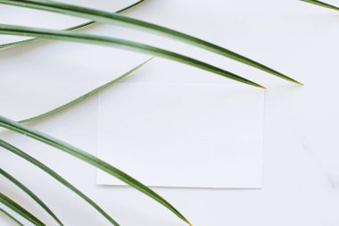 Beyaz kart düz yatak ve yeşil egzotik yaprak, lüks marka düz döşeme ve model kimlik tasarımı