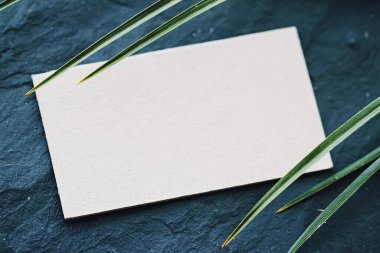 Koyu taştan arka planda beyaz kartvizit ve yeşil egzotik yaprak, lüks marka düz döşeme ve model kimlik tasarımı