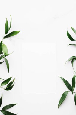 Beyaz kart, beyaz arka planda yeşil yapraklar botanik çerçeve düz çerçeve olarak, düğün davetiyesi ve tatil markası, düz dizayn