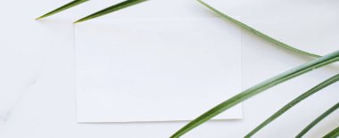 Beyaz kart düz yatak ve yeşil egzotik yaprak, lüks marka düz döşeme ve model kimlik tasarımı