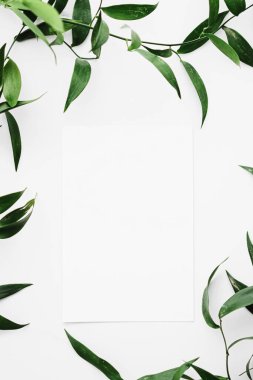 Beyaz kart, beyaz arka planda yeşil yapraklar botanik çerçeve düz çerçeve olarak, düğün davetiyesi ve tatil markası, düz dizayn