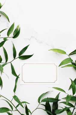 Boş beyaz ve altın kart, beyaz arka planda yeşil yapraklar botanik çerçeve düz çerçeve olarak, düğün davetiyesi ve markalaşma, düz dizayn