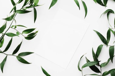 Beyaz kart, beyaz arka planda yeşil yapraklar botanik çerçeve düz çerçeve olarak, düğün davetiyesi ve tatil markası, düz dizayn