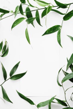 Beyaz kart, beyaz arka planda yeşil yapraklar botanik çerçeve düz çerçeve olarak, düğün davetiyesi ve tatil markası, düz dizayn