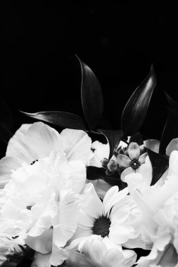 Çiçek buketi güzel çiçek aranjmanı, yaratıcı çiçekler ve çiçekli tasarım, klasik siyah ve beyaz monokrom