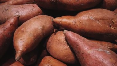 Çiftçi pazarında taze ve organik patatesler