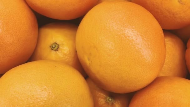 Νωπά βιολογικά πορτοκάλια στην αγορά των γεωργών, φρούτα και τρόφιμα — Αρχείο Βίντεο