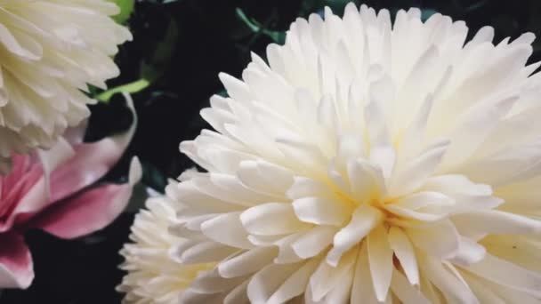 결혼식 과 화방 장식을 위한 꽃꽂이와 같은 인공 꽃 배열 — 비디오