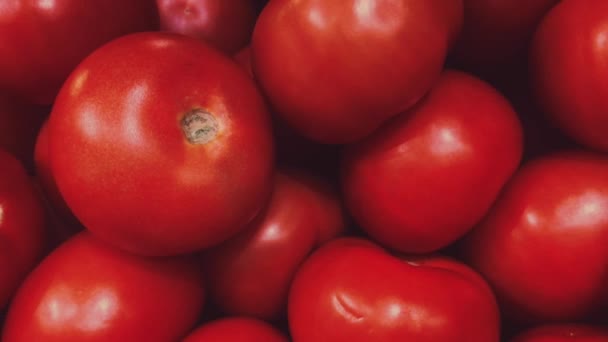 Tomates frescos y ecológicos en el mercado de los agricultores — Vídeo de stock
