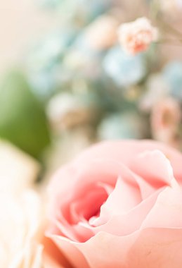 Bahçedeki gül çiçeği, çiçek güzelliği ve botanik geçmişi düğün davetiyesi ve tebrik kartı, doğa ve çevre konsepti.