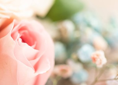 Bahçedeki gül çiçeği, çiçek güzelliği ve botanik geçmişi düğün davetiyesi ve tebrik kartı, doğa ve çevre konsepti.