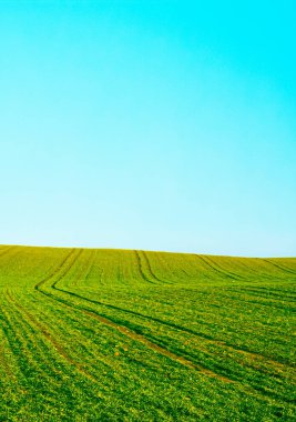 Yeşil alan ve mavi gökyüzü, doğa ve çevre olarak güzel bir çayır.