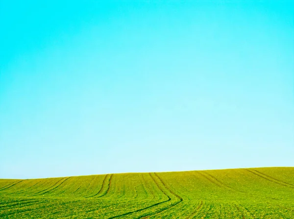 Campo verde e cielo blu, bellissimo prato come natura e sfondo ambientale — Foto Stock