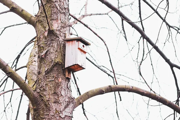 Birdhouse στο δέντρο στις αρχές της άνοιξης ή το φθινόπωρο, τα πουλιά και τη φύση — Φωτογραφία Αρχείου