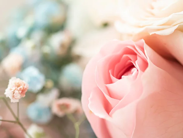 Rosa flor en un jardín, belleza floral y fondo botánico para la invitación de la boda y tarjeta de felicitación, la naturaleza y el medio ambiente concepto — Foto de Stock
