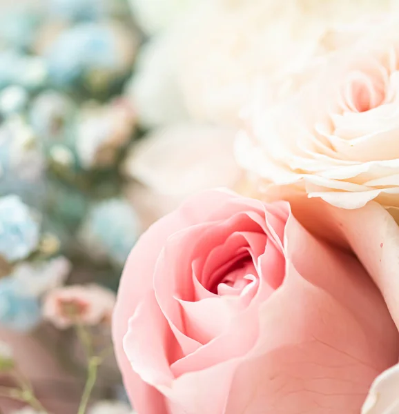 Rosa flor en un jardín, belleza floral y fondo botánico para la invitación de la boda y tarjeta de felicitación, la naturaleza y el medio ambiente concepto — Foto de Stock
